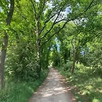 B&boosterweg3 - Free Private Parking 4* היימסקרק