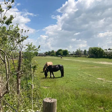 Gasthuis Bboosterweg3 4*