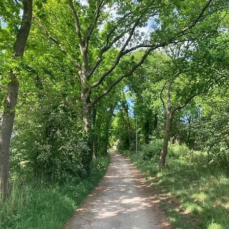 Bboosterweg3 4* Heemskerk