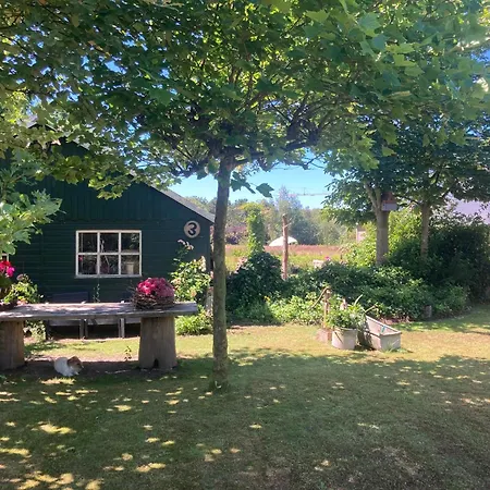 B&boosterweg3 - Free Private Parking 4*