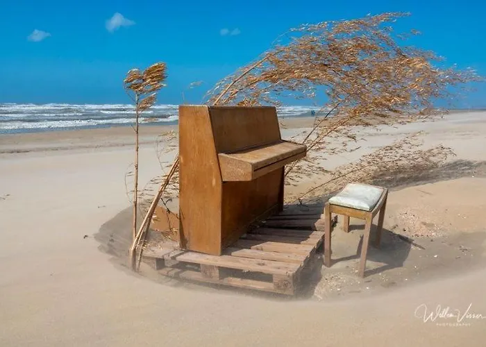 Pensionat B&boosterweg3 - Free Private Parking Heemskerk