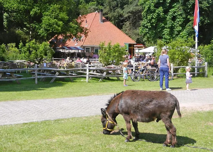 B&boosterweg3 - Free Private Parking Pensionat Heemskerk