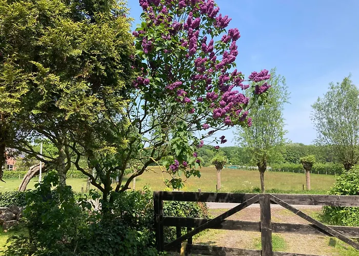 B&boosterweg3 - Free Private Parking Pensionat