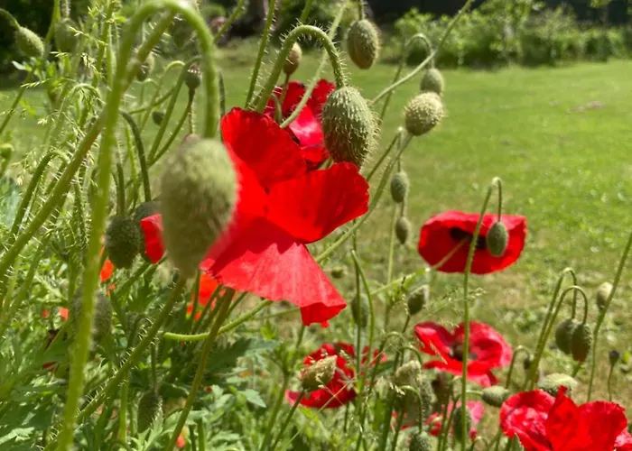 B&boosterweg3 - Free Private Parking 4* Heemskerk