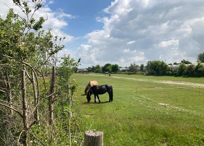 Pensionat B&boosterweg3 - Free Private Parking 4*