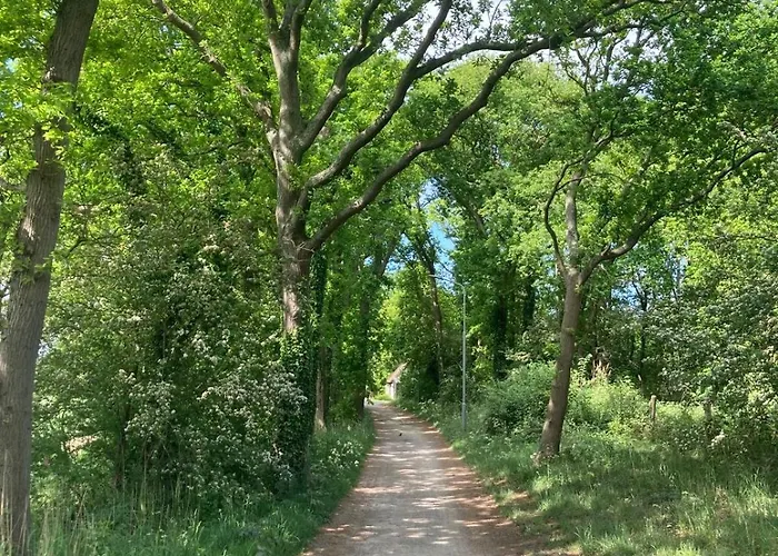 B&boosterweg3 - Free Private Parking 4* Heemskerk