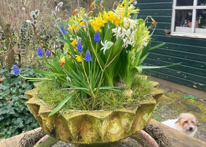 Pensionat B&boosterweg3 - Free Private Parking