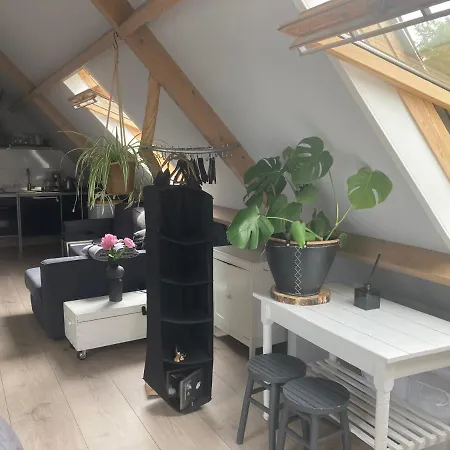 B&boosterweg3 - Free Private Parking 4* Heemskerk