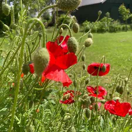 B&boosterweg3 - Free Private Parking 4* Heemskerk