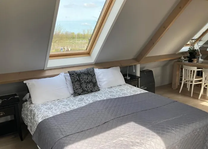 Gasthuis Bboosterweg3